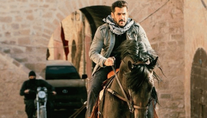 Salman Khan: A Superstar Who Gave Bollywood Its Biggest And The Most Famous Franchise, Tiger