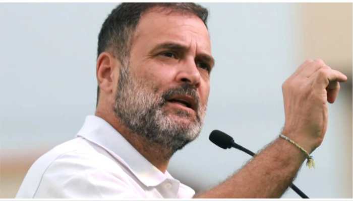 &#039;They Can Only Waive Off Adani&#039;s Loan&#039;: Rahul Gandhi Launches Attack On BJP