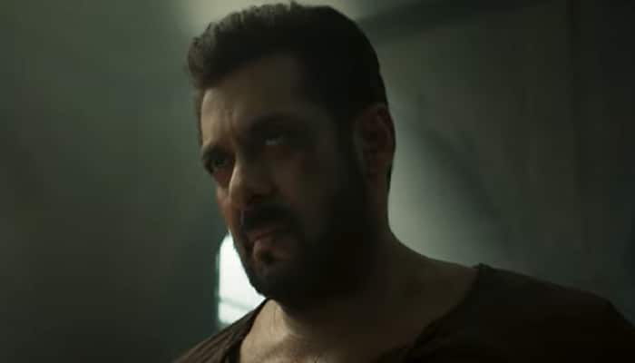 Tiger 3: Fans Cannot Wait To Witness The Next Level Of Action By The OG Salman Khan