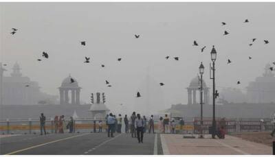 Sever Air Pollution Forces Delhi Into GRAP IV; Entry Of Trucks Banned, Work From Home May Return