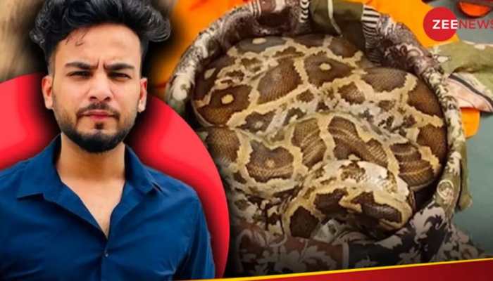 Trouble Mounting For Elvish Yadav? Noida Police Issues Notice To YouTuber In Snake Venom Case