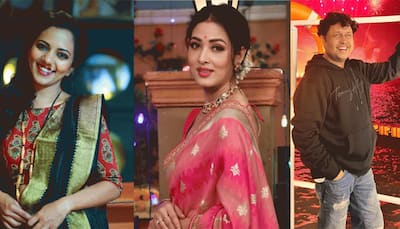 Diwali 2023: Neha Joshi, Yogesh Tripathi, Vidisha Srivastava Reveal Their Plan For Festive Season