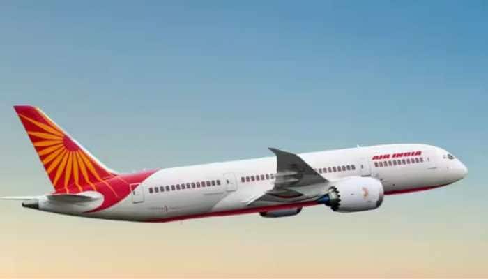 Air India Engineer Falls To Death While Performing Maintenance Work At Delhi Airport