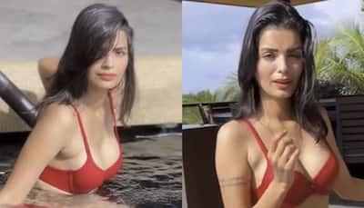 Sonali Raut Looks Stunning In Red Bikini As She Takes A Dip In The Pool - Watch 