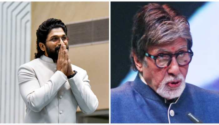 Amitabh Bachchan Praises Allu Arjun For His Viral Hook Step, Says 'Zindagii Mein Humne Pehli Baar...' 