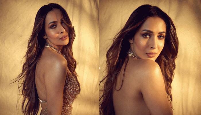 Malaika Arora Soars Mercury In Rs 2 Lakh Sheer Embellished Gown, Drops Alluring Photos