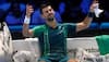 ATP Finals 2023: Novak Djokovic Loses First Match Since Wimbledon Final, Jannik Sinner Records First Win Over World No 1