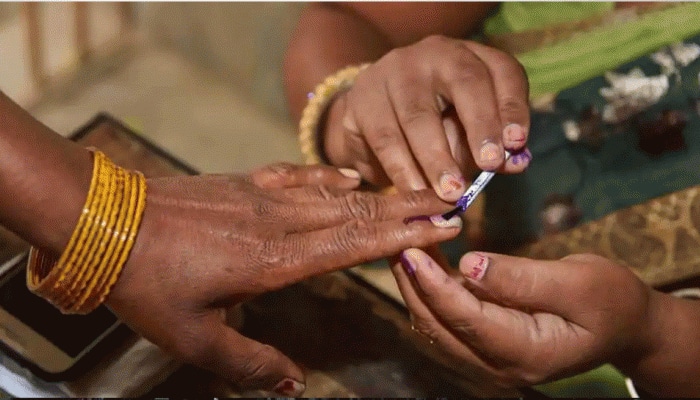 Assembly Election 2023: Single Phase Polling For 230 Seats In Madhya Pradesh, Second Phase Voting In Chhattisgarh On November 17