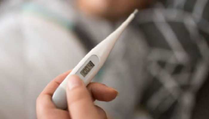 WHO Visits Gaya To Check About ‘Langda Fever’ 
