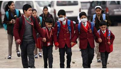 Winter Vacations Declared In Kashmir Schools From Nov 28 As Temperature Dips