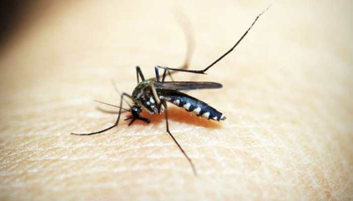 Can Soap Help Fight Malaria-Carrying Mosquitoes? Here’s What Study Reveals 