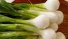 Health Benefits of spring onion