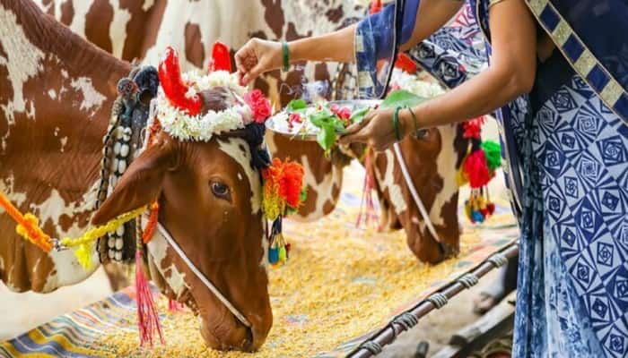 Controversy Amidst &#039;Cow Urine&#039; Comment - Know About South Indian Temple Where Cows and Bulls Are Worshiped