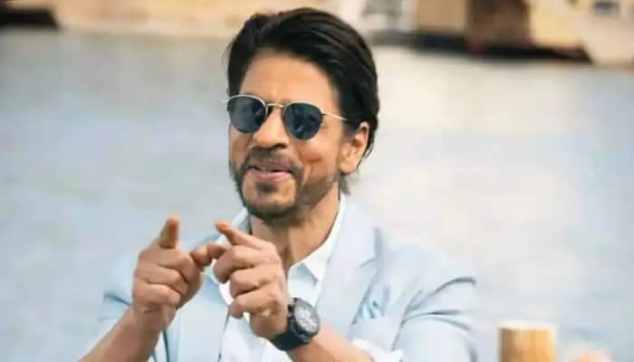 Shah Rukh Khan Gives It Back To Netizen Who Brutally Trolls Pathaan And Jawan 