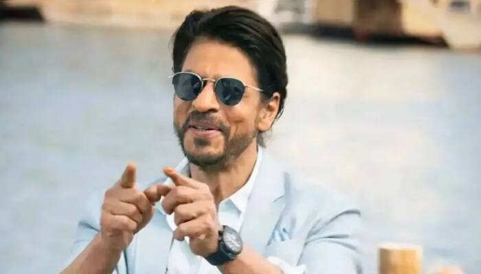 Shah Rukh Khan Gives It Back To Netizen Who Brutally Trolls Pathaan And Jawan 
