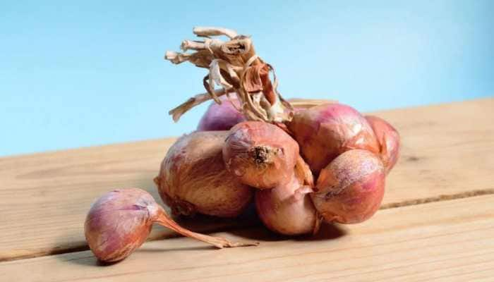 India Prohibits Onion Exports Till March 2024