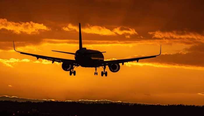 Over 500 Bird Hits, 400 Technical Snag Reported By Flights In India In 2023