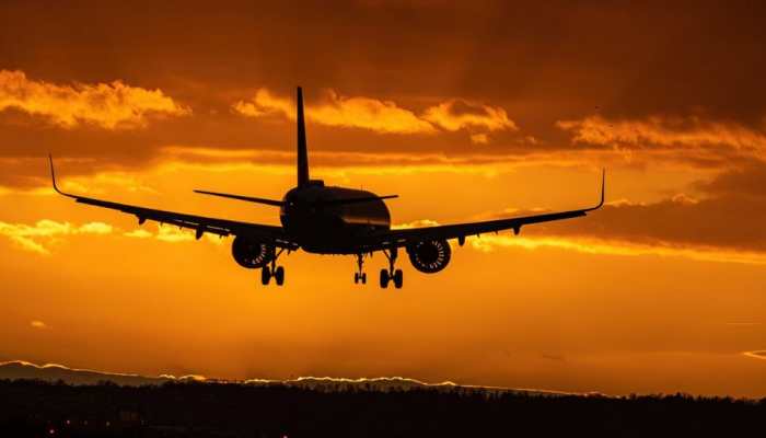 Over 500 Bird Hits, 400 Technical Snag Reported By Flights In India Between Jan-Nov 2023