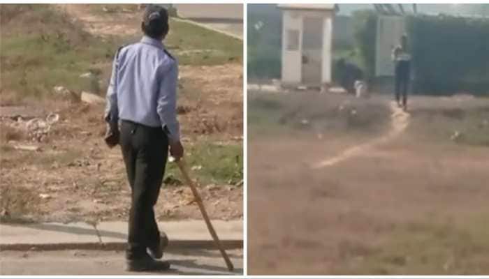 Ghaziabad: Society Guard Arrested For Brutally Assaulting, Relocating Society Dogs