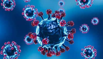 COVID-19's Subvariant JN.1 In Kerala: As Concerns Grow, All You Need To Know About Virus - Key Points