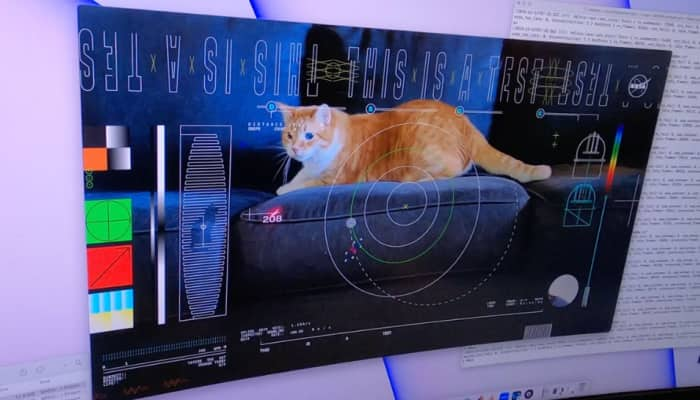 Space Tabby: Taters The Cat Stars In NASA’s Historic First Deep Space Video - Watch