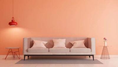 Pantone Colour Of The Year 2024: How 'Peach Fuzz' Is Set To Change Your Home's Look And Feel