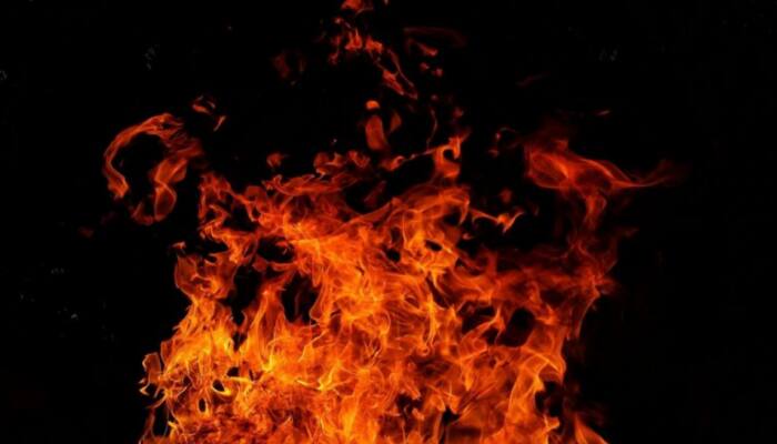 MP Horror: Woman Burnt Alive By Brother-In-Law Over Family Feud In Ratlam