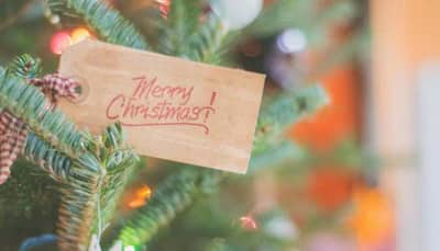 Merry Christmas 2023: Top Wishes, Greetings, Quotes And Whatsapp Message To Share With Loved Ones 