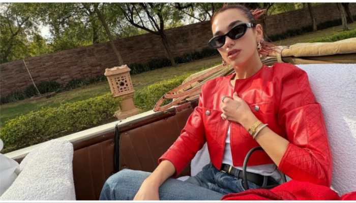 Singer Dua Lipa Surprises Fans In India With THIS Post - Check It Out