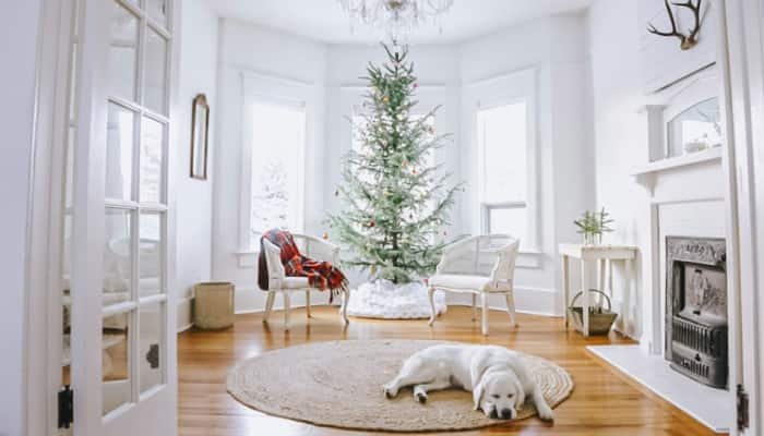 New Year&#039;s Home Decor: 7 Simple Tips To Add Festive Charm For Minimalist Home This Holiday Season