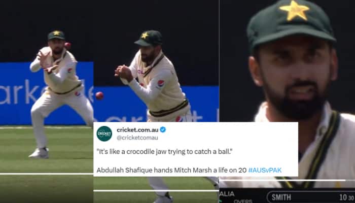 PAK vs AUS 2nd Test: Mark Waugh&#039;s Priceless Reaction To Pakistan&#039;s Abdullah Shafique Dropping Another Catch Goes Viral; Watch