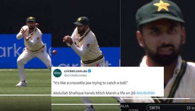 PAK vs AUS 2nd Test: Mark Waugh's Priceless Reaction To Pakistan's Abdullah Shafique Dropping Another Catch Goes Viral; Watch