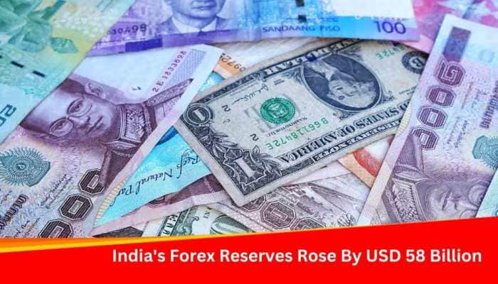 India&#039;s Forex Reserves Rose By USD 58 Billion Cumulatively In 2023