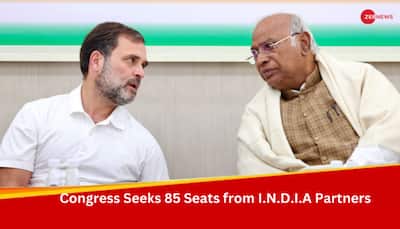 LS Polls 2024: Congress Wants To Contest On 290 Seats Independently, Sources