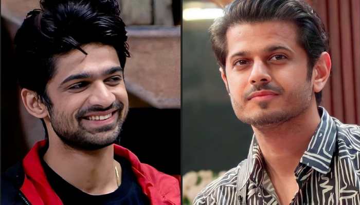 Bigg Boss 17: Neil Comes In Support Of Abhishek Kumar; Calls Isha, Samarth 'Toxic'