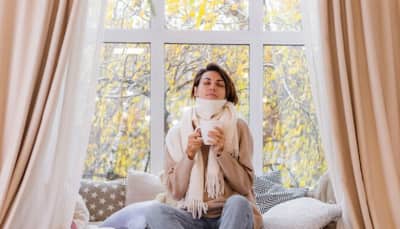 Cosy And Chic: 4 Smart Tips For Choosing Curtains And Blinds, Expert Shares Efficient Ways To Warm Up Your Home In Winters