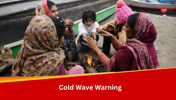 Weather Update: Cold Wave Alert For Delhi, Uttar Pradesh, Rajasthan, Rainfall Likely In Tamil Nadu, Kerala