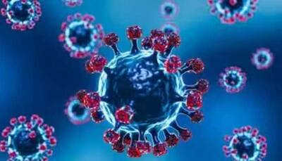 JN.1 Represents 'Very Serious Evolution' Of Covid Virus: Global Experts