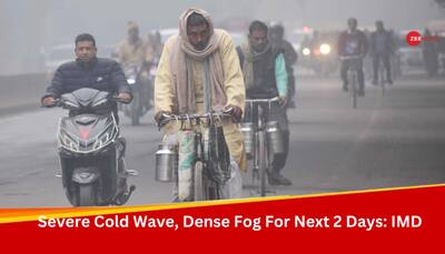 Weather Update: IMD Issues Cold Wave Alert For Rajasthan, Predicts Heavy Rainfall In Tamil Nadu, Kerala 