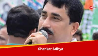Shankar Adhya, AKA 'DAKU': Arrested TMC Leader's Rapid Growth, From Luxurious Flats to Hotel