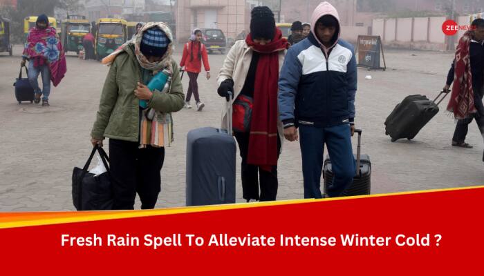 Weather Update: Fog to Clear Soon! IMD Forecasts Fresh Rainfall In Next 24 Hours