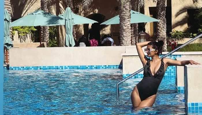 Harbhajan Singh&#039;s Wife Sizzles In Swimsuit, Snapshot Sets Internet On Fire
