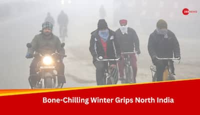 Weather Update: IMD Predicts Respite From Intese Cold As North India Reels Under Bone-Chilling Winter