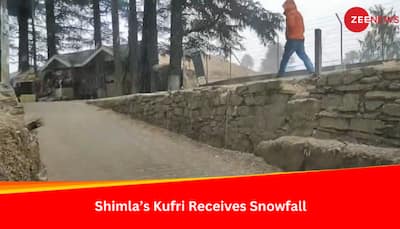 Shimla's Kufri Receives Much Awaited Snowfall Amid Prolonged Dry Spell - Watch