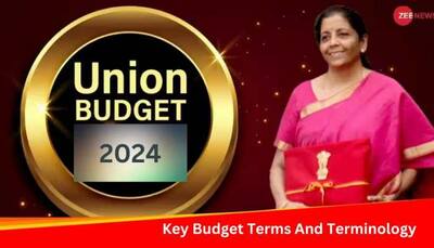 Interim Budget 2024: Key Budget Terms And Terminology You Should Know