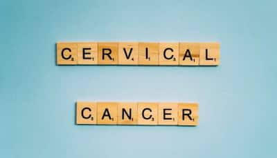 Cervical Cancer Awareness Month: Cervical Health And Its Role In Preventing Preterm Births - Expert Explains 