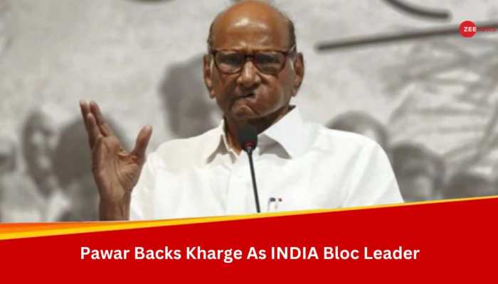 &#039;Everyone Wants Mallikarjun Kharge To Lead INDIA Bloc&#039;: NCP Supremo Sharad Pawar After Consensus On Congress Chief&#039;s Name