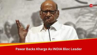 'Everyone Wants Mallikarjun Kharge To Lead INDIA Bloc': NCP Supremo Sharad Pawar After Consensus On Congress Chief's Name