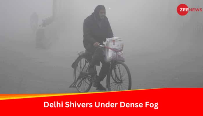 Cold Wave: Delhi Shivers Under Dense Fog, Traffic, Flights Disrupted
