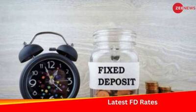 Latest Public Sector Banks' FD Rates: Check How Much Return You Will Get
